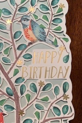 Geburtstagskarte mit Vögeln von Artebene